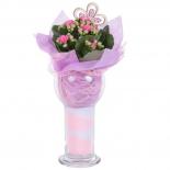 Каланхое в стъклена ваза Ф9см H25-30см