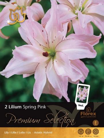 Луковици Premium Лилиум Spring Pink - Външни растения