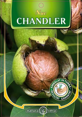 Орех Шейново - Овошки и плодни храсти