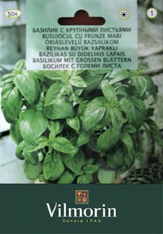 Босилек с големи листа - Семена за билки и подправки