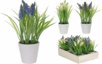 Лавандула в саксия, 22см различни модели