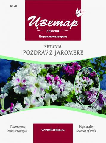 ЦВЕТАР  Петуния ресничеста Поздрав от Яромнерже - Семена за цветя