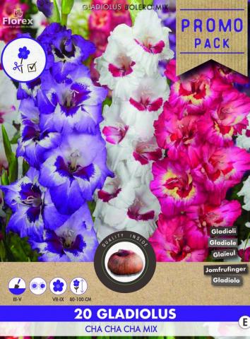 Луковици гладиола Grandiflora- Cha cha cha mix 12/14, 20бр - Гладиоли