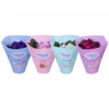 Сентполия Gemischt