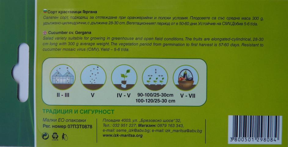 Семена ИЗК МАРИЦА Краставици Гергана, снимка 3 - Семена за плодове и зеленчуци