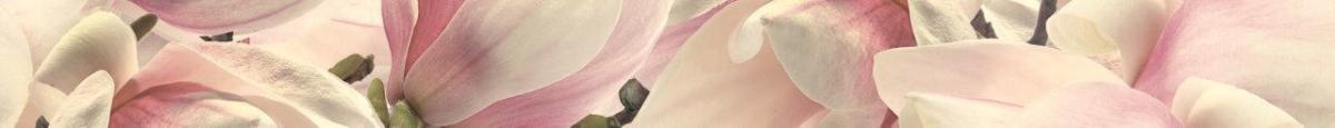 Фриз Sensa Magnolia 5.5x60 - Фриз