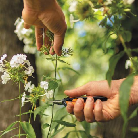 Ножица за цветя Fiskars Solid Microtip SP130, снимка 4 - Други градински ножици