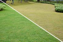 Био органични препарати