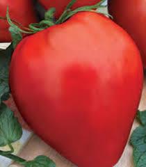 Разсад домат 6бр. Български селектирани сортове, снимка 2 - Външни растения