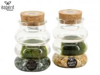 Декоративно водно растение Marimo ф7см, H10см