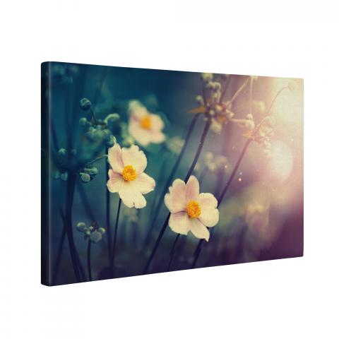 Картина Flower in sunrise 60x90 см, снимка 2 - Картини и рамки