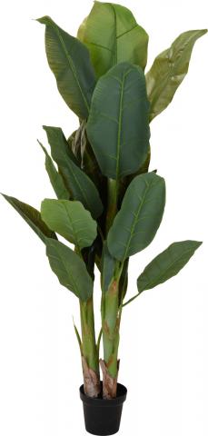 Изкуствено растение 165см - Цветя в саксия