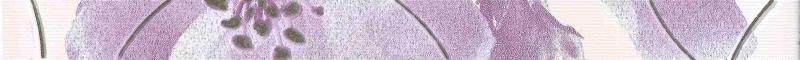 Фриз Spring violet 4.5x60 - Фриз