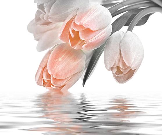 Декоративна фаянсова плочка Love Tulips Salmon 50x60 см - Декор