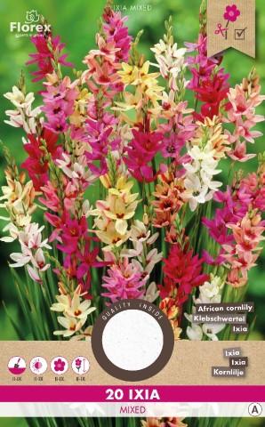 Луковици PURE Иксия микс, 20бр - Специалитети