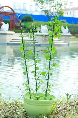 Опора за растения с четири пръстена - Принадлежности за връзване