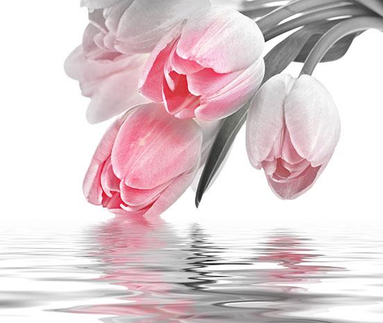 Декоративна фаянсова плочка Love Tulips Pink 50x60 см - Декор