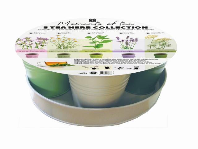 Семена за чай 5 вида - Специалитети