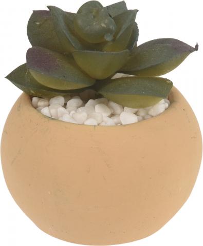Изкуствен суколент в керамична саксия, снимка 5 - Единични цветя