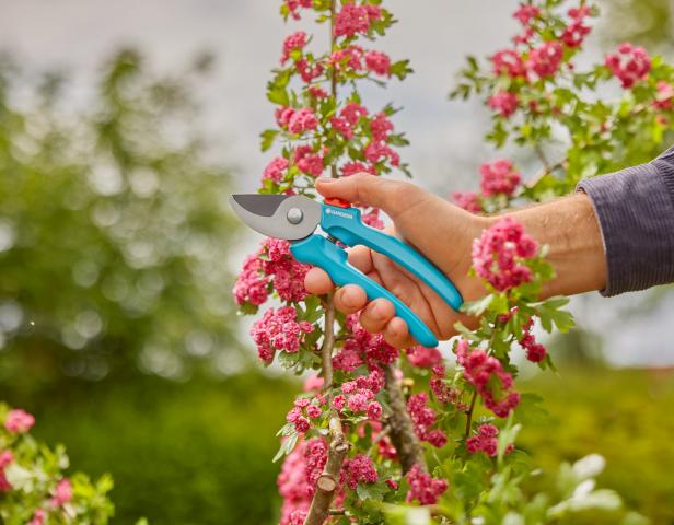 Лозарска ножица EasyCut GARDENA 12230-20, снимка 3 - Ножици за клони