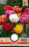 Луковици PC Лале 'Double Early selected mix (Murillo)' 8бр