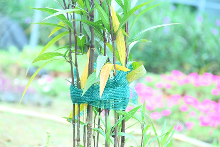 Градинска лента за привръзване на растения, снимка 2 - Принадлежности за връзване