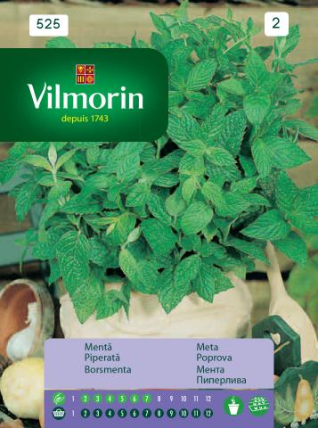 Мента - Вилморин, снимка 2 - Семена за билки и подправки