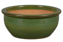Саксия IB-Bologna 01N 31cm H13cm