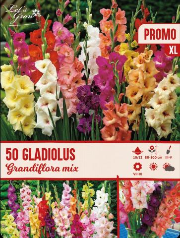 Луковици Let s grow Гладиола 50бр. - Гладиоли
