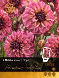 Луковици Далия Senior's Hope I 5бр