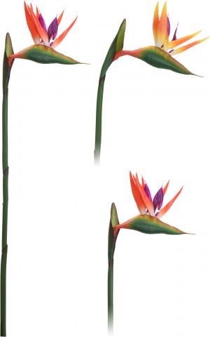 Стрелиция - изкуствено цвете - Единични цветя