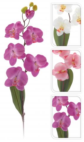 Орхидея Фаленопсис 103см - Единични цветя