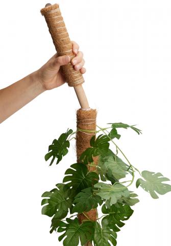 Стик за растения кокос 50 см, снимка 2 - Саксии фигурки