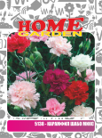 Семена за цветя HomeGarden КАРАМФИЛ ШАБО МИКС