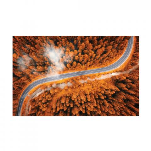 Картина Orange road 60x90 см, снимка 3 - Картини и рамки