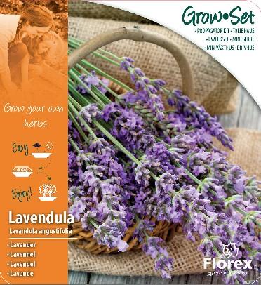 Сет за разсад-  Лавандула - Семена за билки и подправки