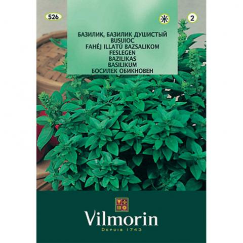 Босилек обикновен - Вилморин - Семена за билки и подправки