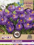 Луковици PP Минзухар Flower Record