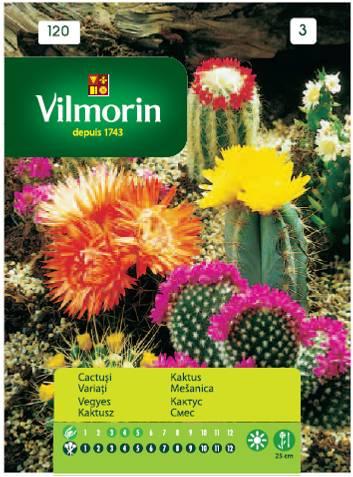 Кактус смес - Вилморин - Семена за цветя