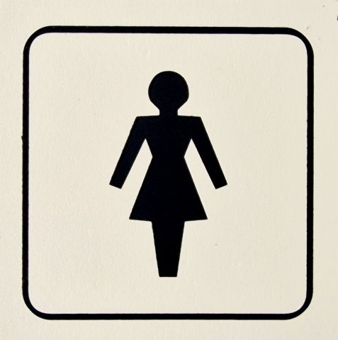 Табела "Дамска тоалетна" - Обезопасяване на обекти