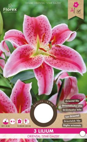 Луковици PURE Лилиум Stargazer, 3бр - Лилиуми