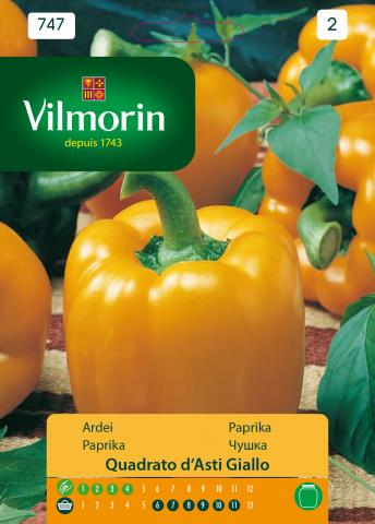 Семена Чушка квадратна жълта D'Asti - Вилморин - Семена за плодове и зеленчуци