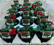 Ягода ф10,5 см