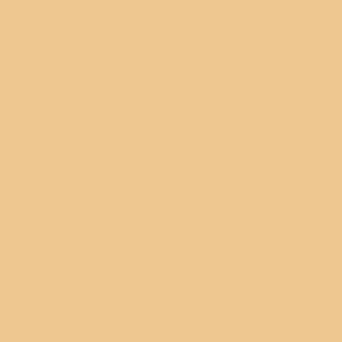 Фасадна боя Практика 4.5кг, мандарина, снимка 3 - Бели фасадни бои