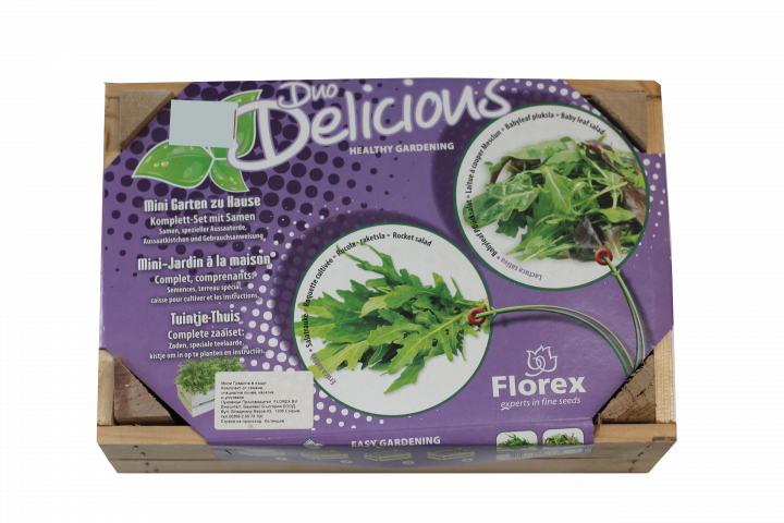 Комплект семена за салати Duo Delicious III рукола + зелена салата - Семена за плодове и зеленчуци