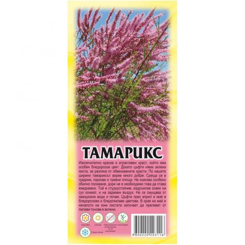 Тамарикс 1 бр в пакет - Листопадни храсти и дървета