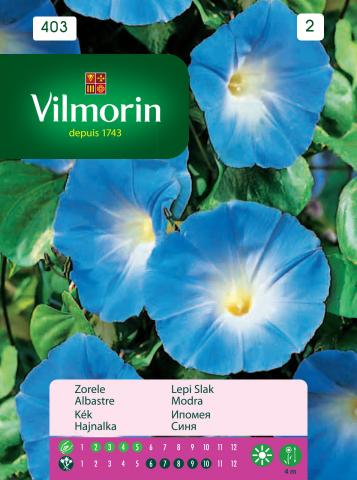 Ипомея синя - Вилморин, снимка 2 - Семена за цветя