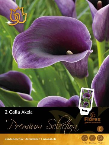 Луковици Premium Кала Akela, 2бр - Специалитети