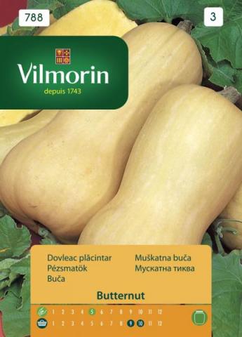 Вилморин семена Тиква Waldham Butternut v788 - Семена за плодове и зеленчуци