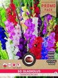 Луковици COMBO Гладиола Grandiflora микс
